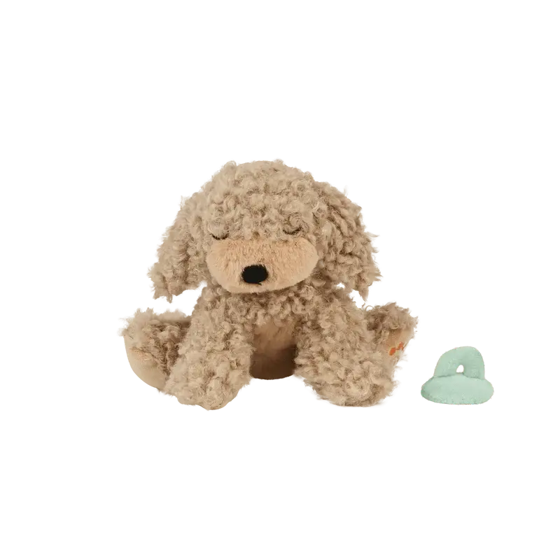 Binky Puppy - Benny