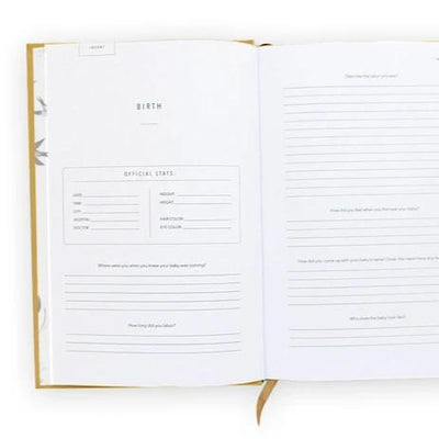 Adoption Journal - Sand