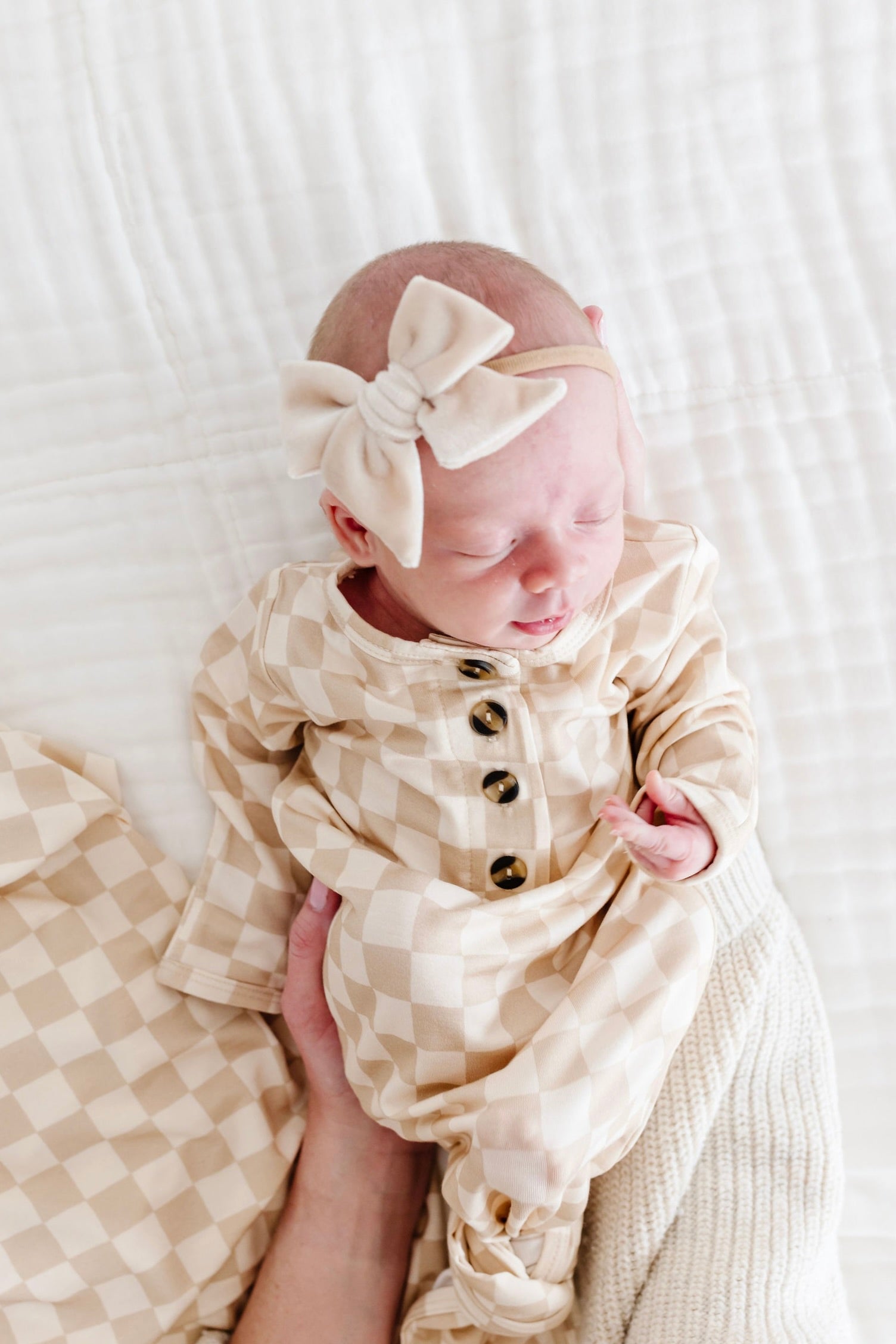 Velvet - Latte Bow