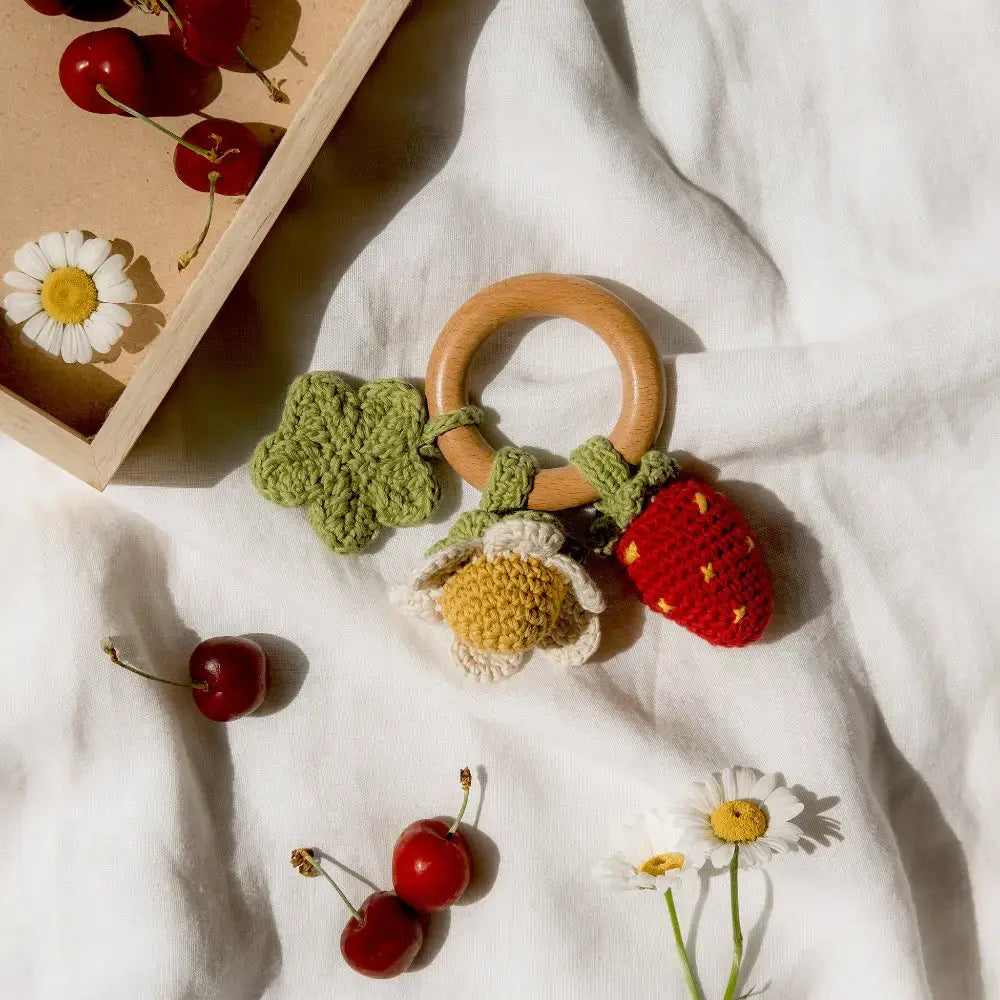 Spring Teether