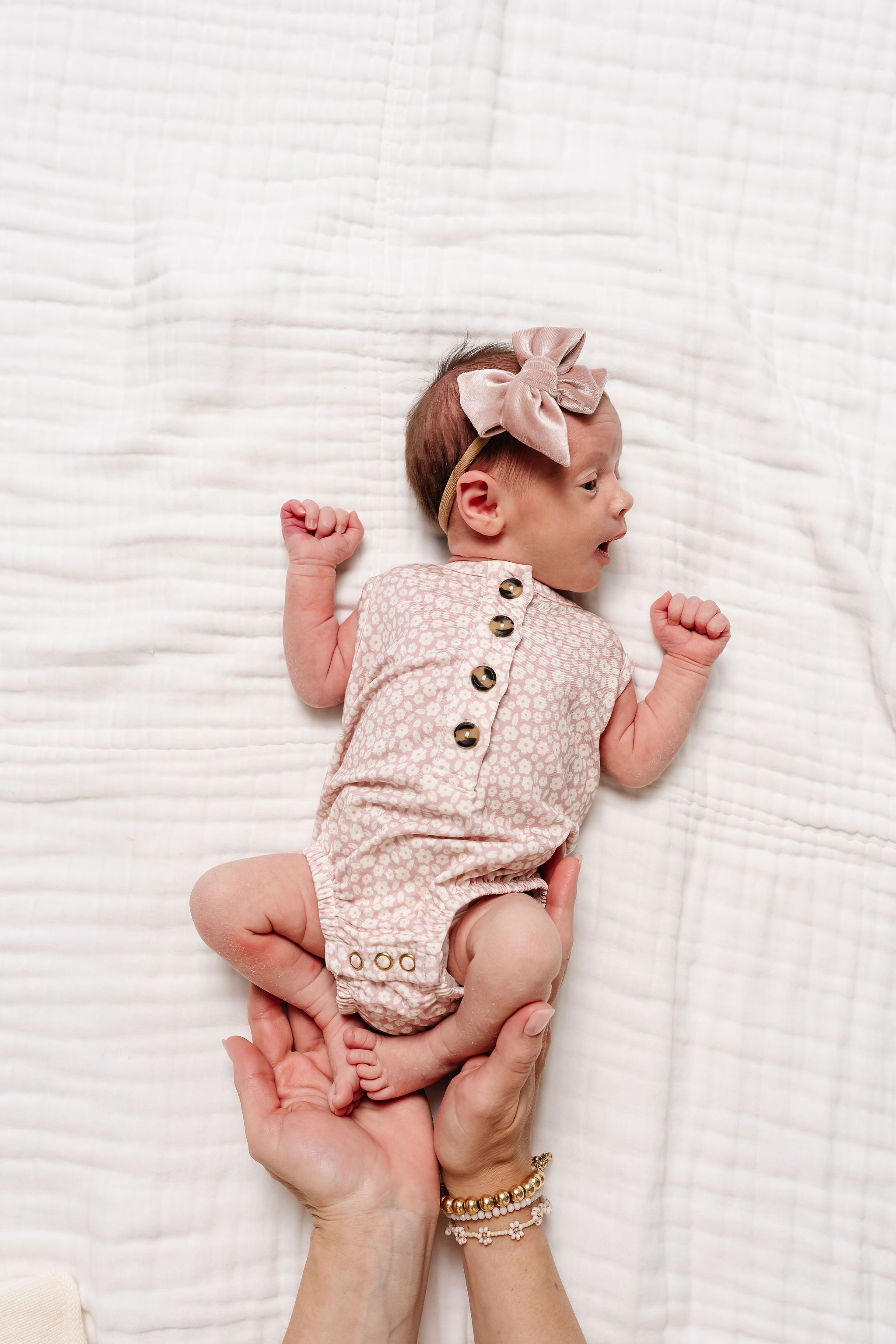 Velvet Bow 3 Pack: Mauve