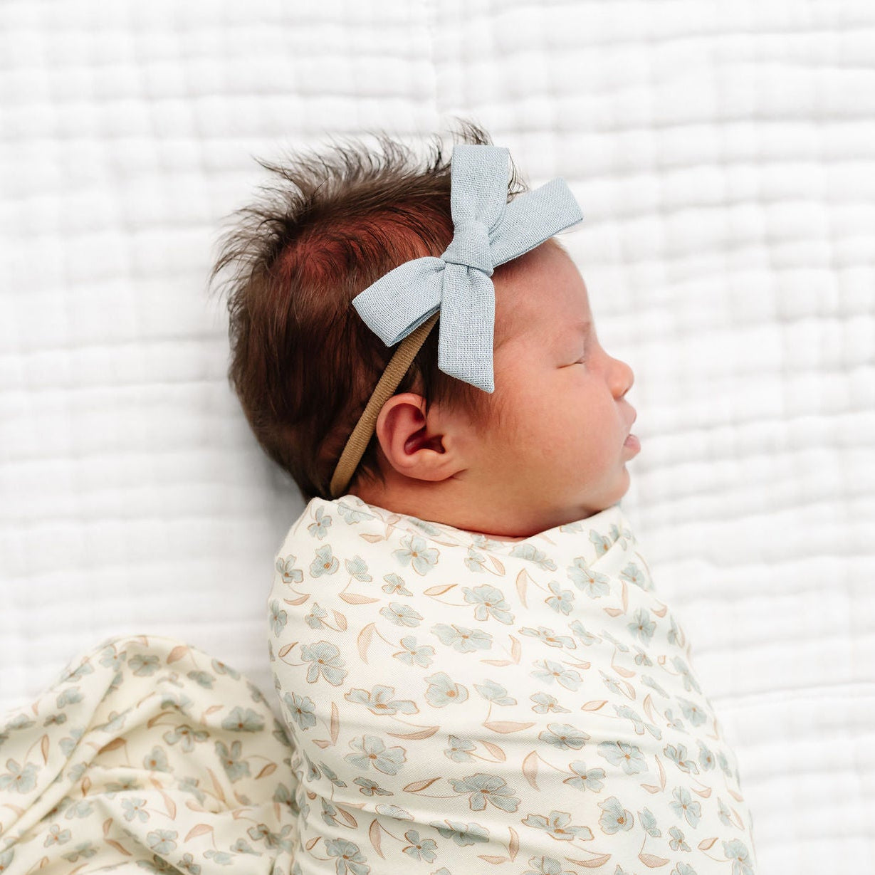 Classic Bow - Dove Petite