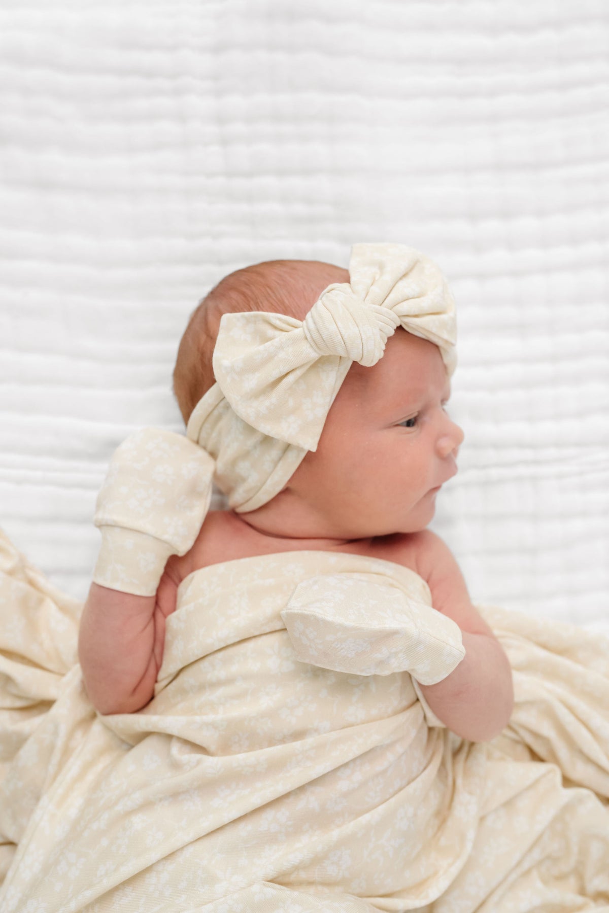Adaline Newborn Headband Bundle