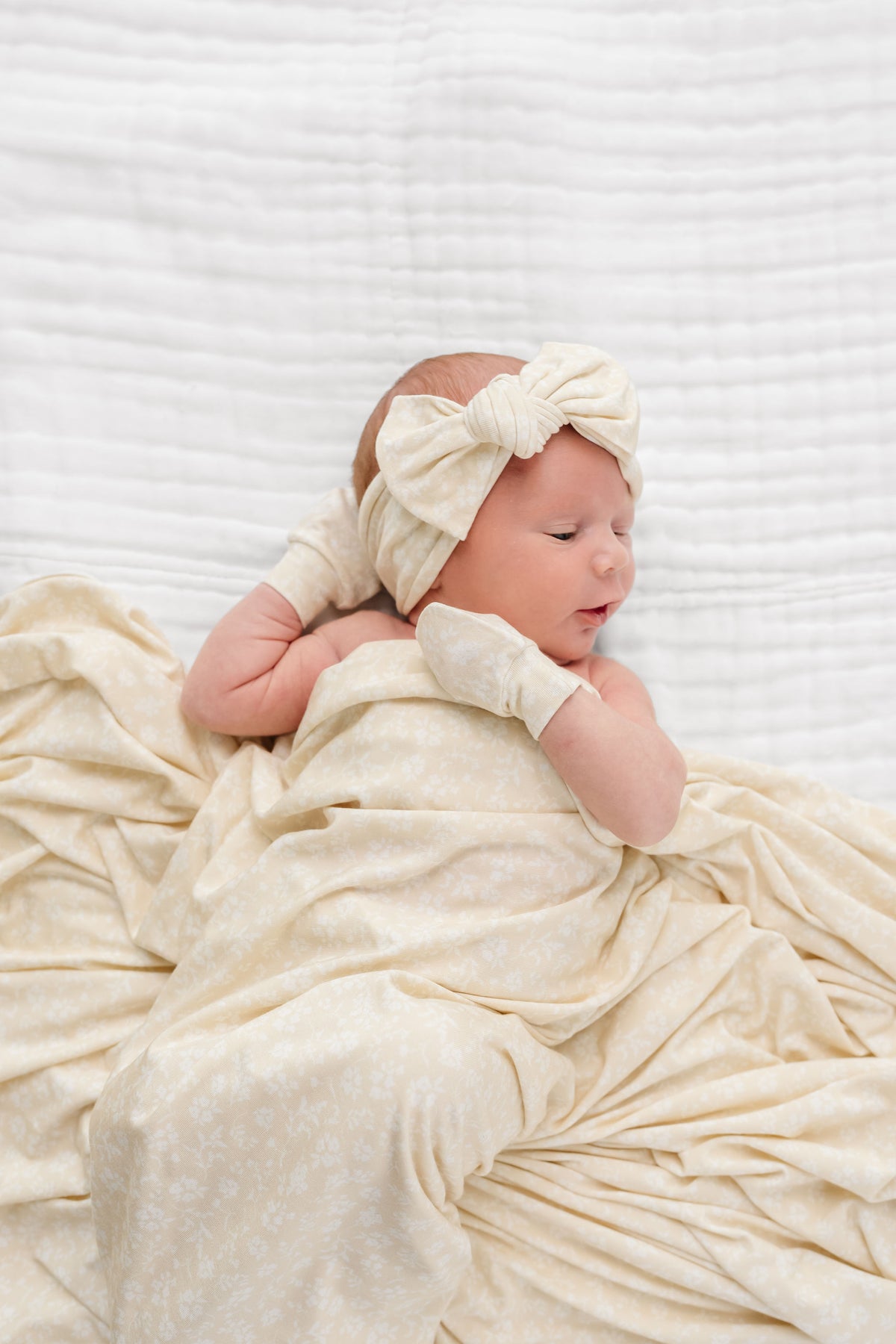 Adaline Newborn Headband Bundle