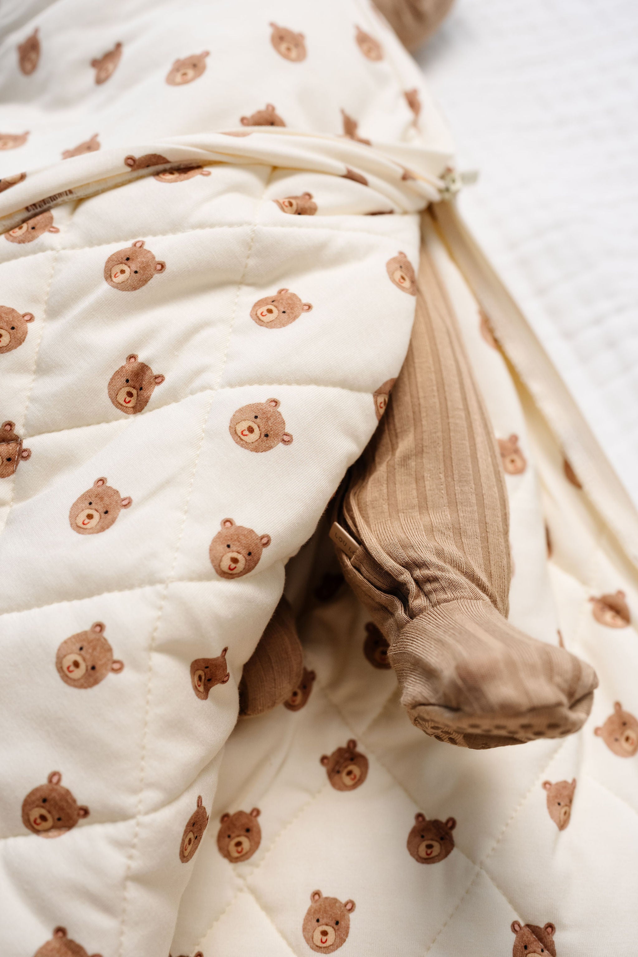 Teddy Sleep Sack