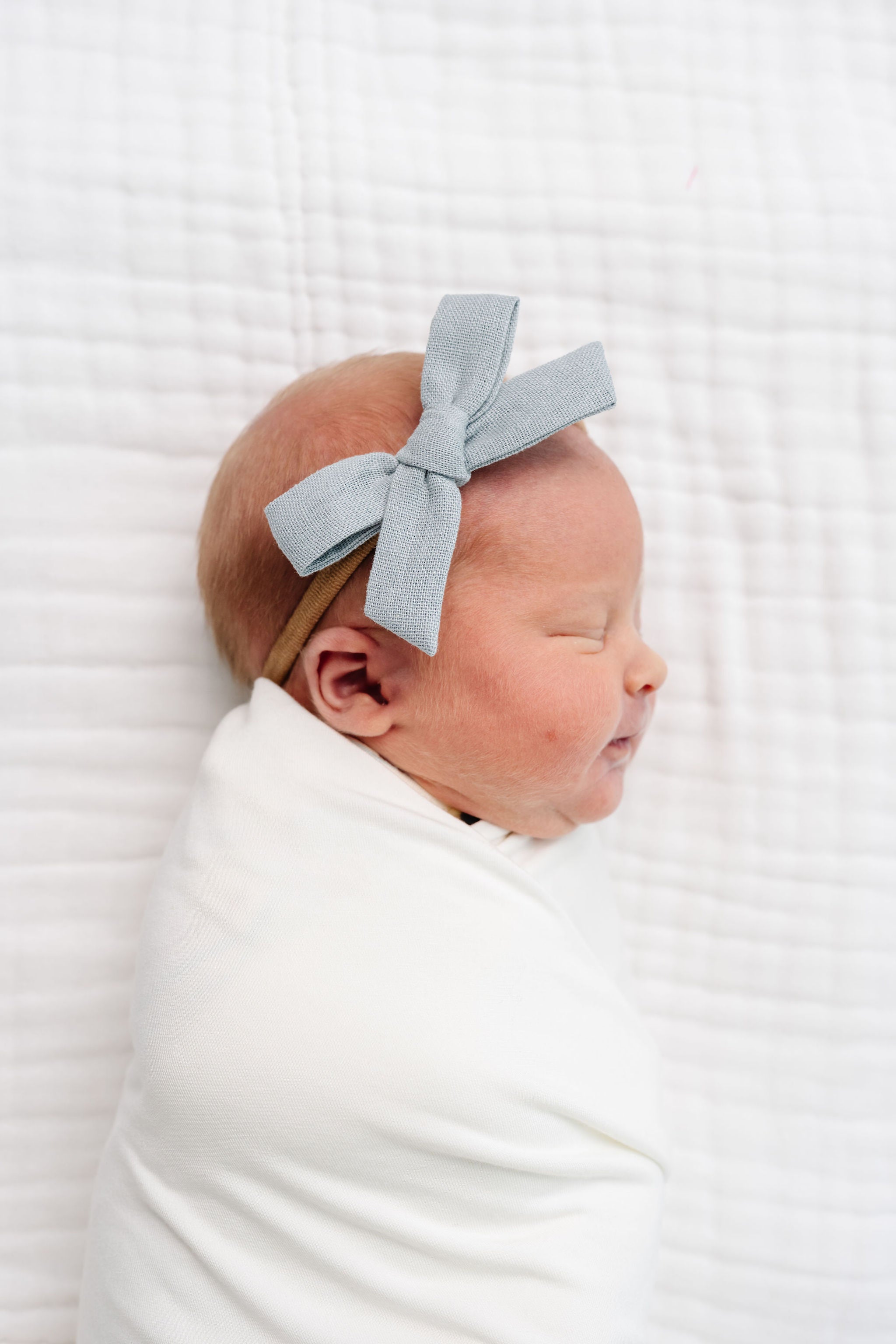 Classic Bow - Dove Petite