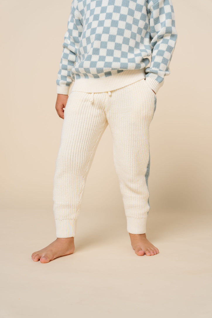 Knit Jogger Pant - Steele Racer Stripe