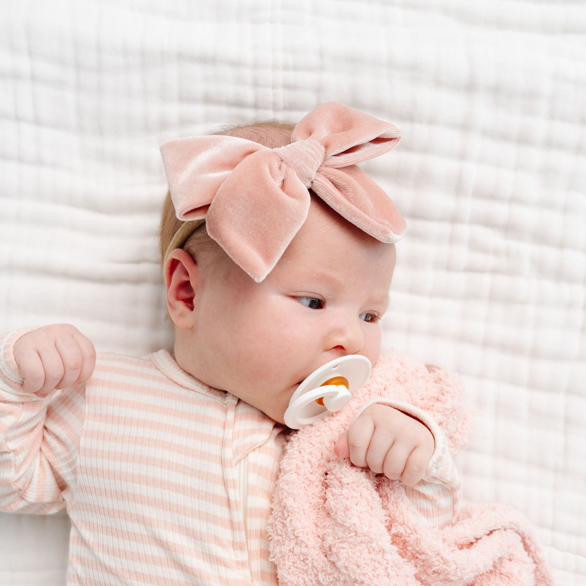 Velvet Bow 3 Pack: Mauve