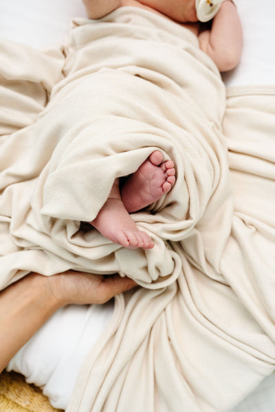 Dakota Plush Knit Swaddle Blanket