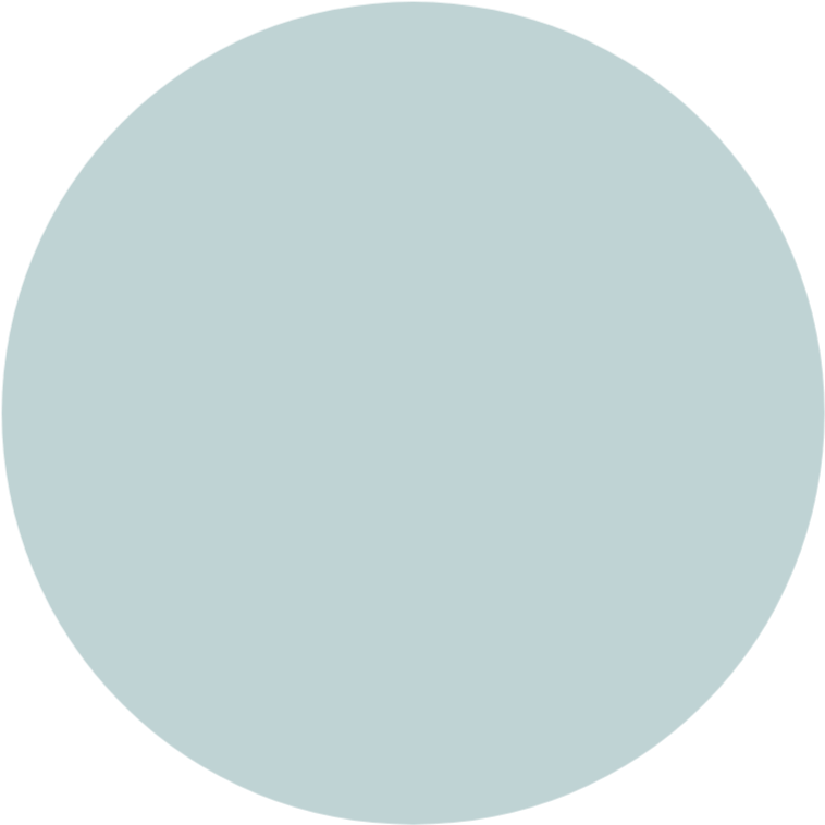 Dusty Blue Circle