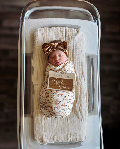 Baby newborn girl in rachel swaddle and cinnamon velvet knot. in hospital basket with a hello my name is lucy quinn sign. 