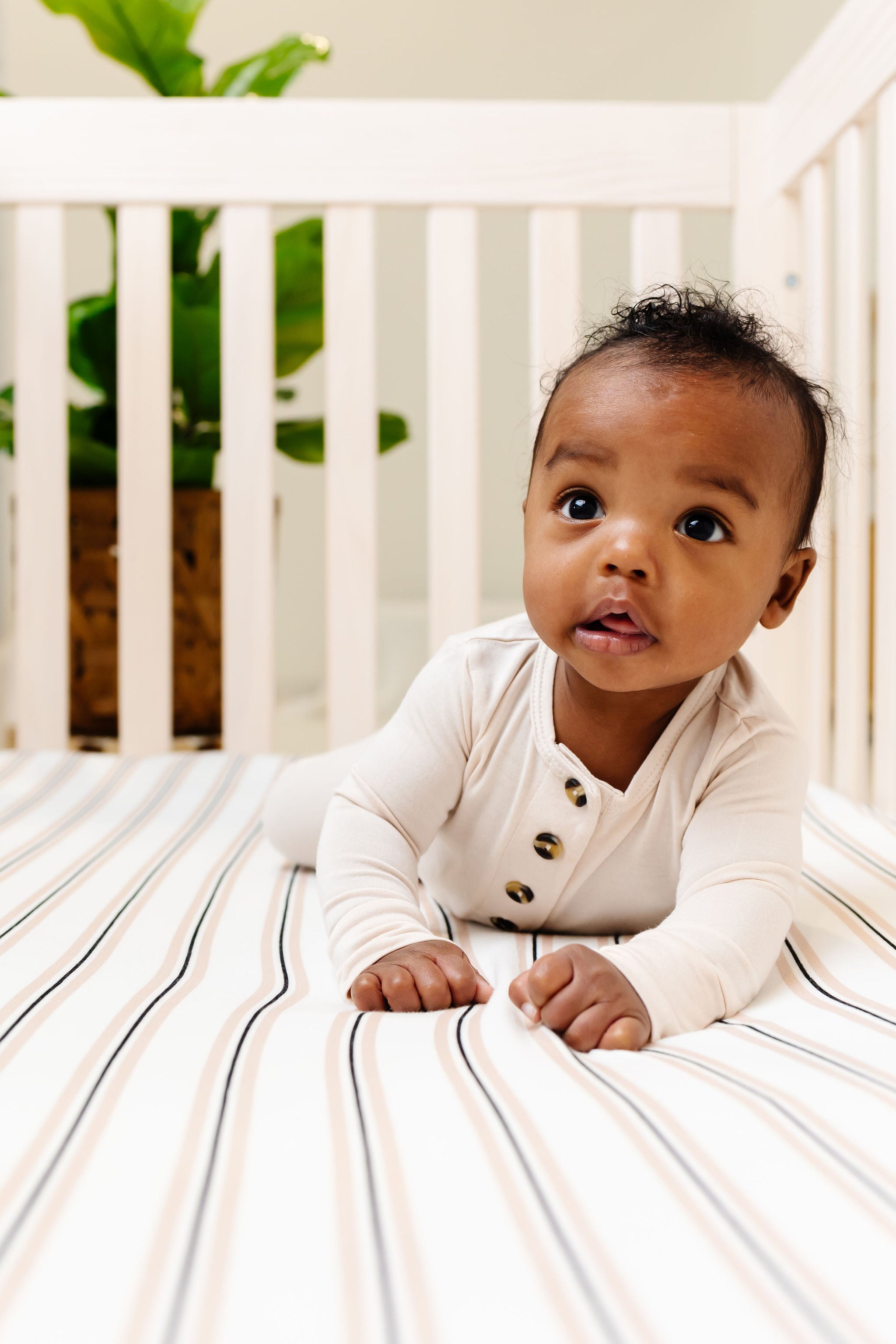 Cole Crib Sheet